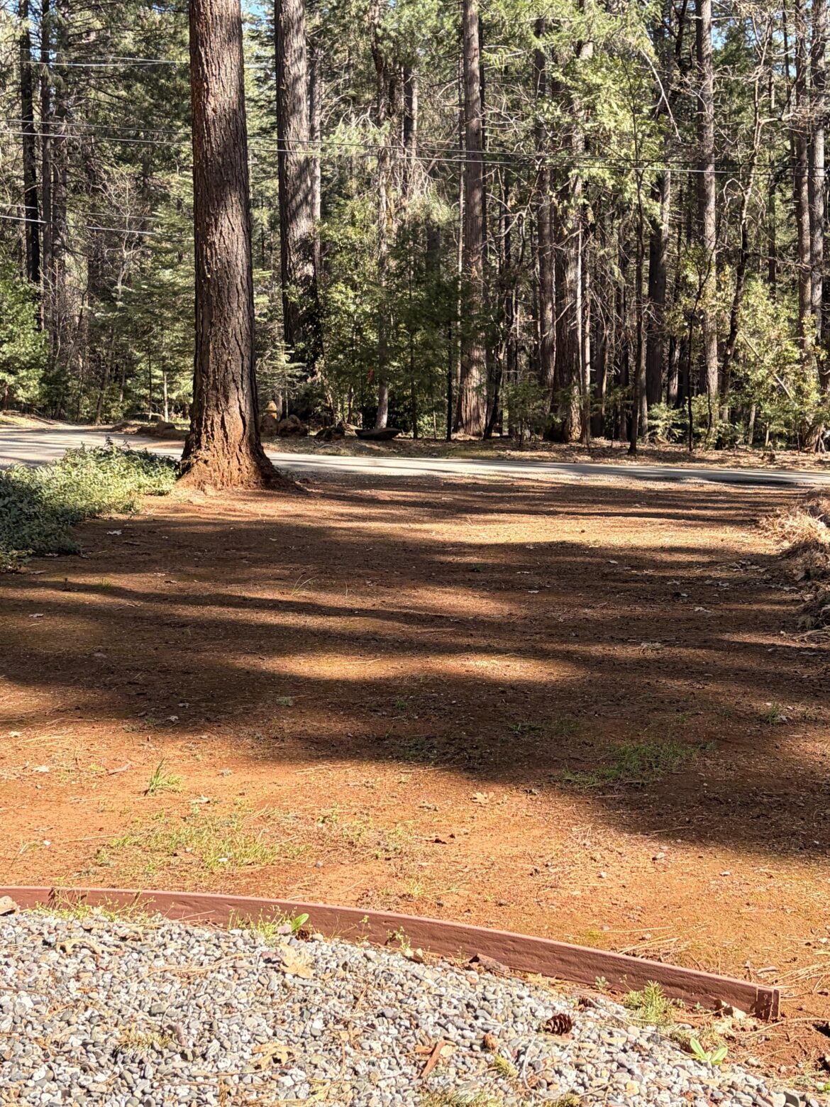 Maximizing sunlight? Maximizing sunlight?