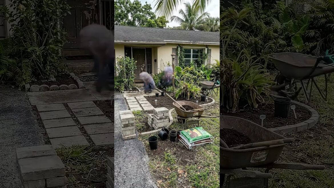 Tropical Front Yard Landscape Transformation #TropicalFrontYardTransformation