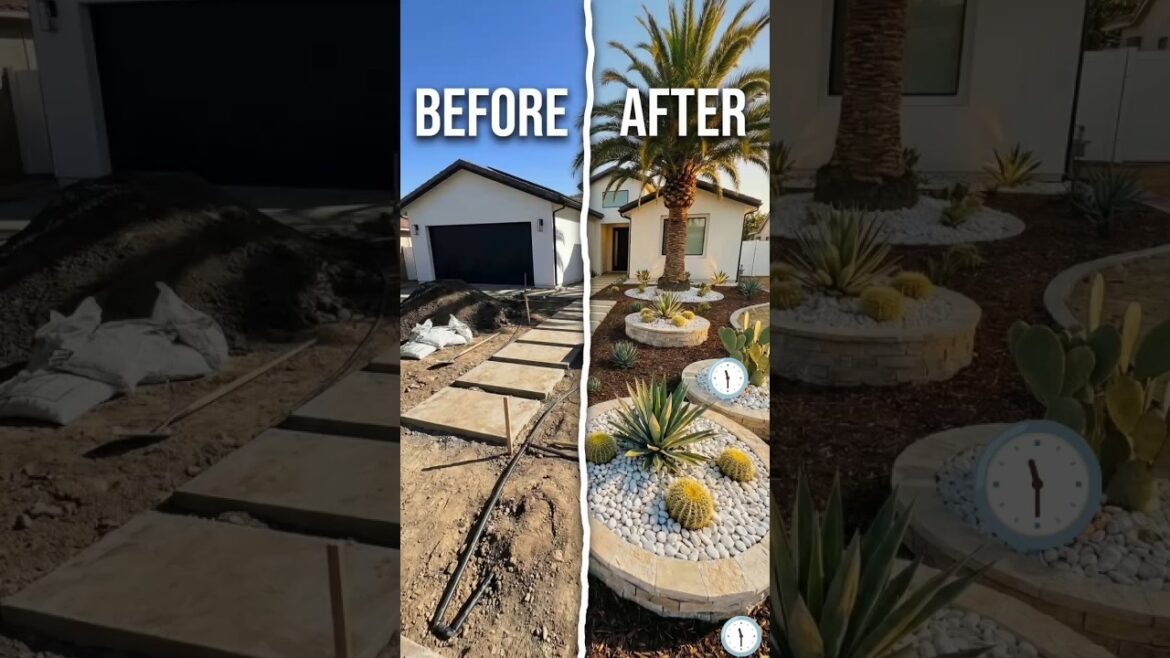 Before & After Front Yard Transformation #shorts #transformation #timelapse #satisfying Before & After Front Yard Transformation #shorts #transformation #timelapse #satisfying