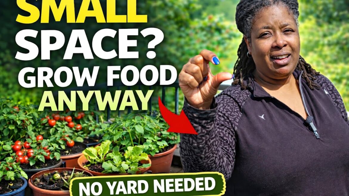 How to Grow Food in Small Spaces | Container Gardening for Beginners