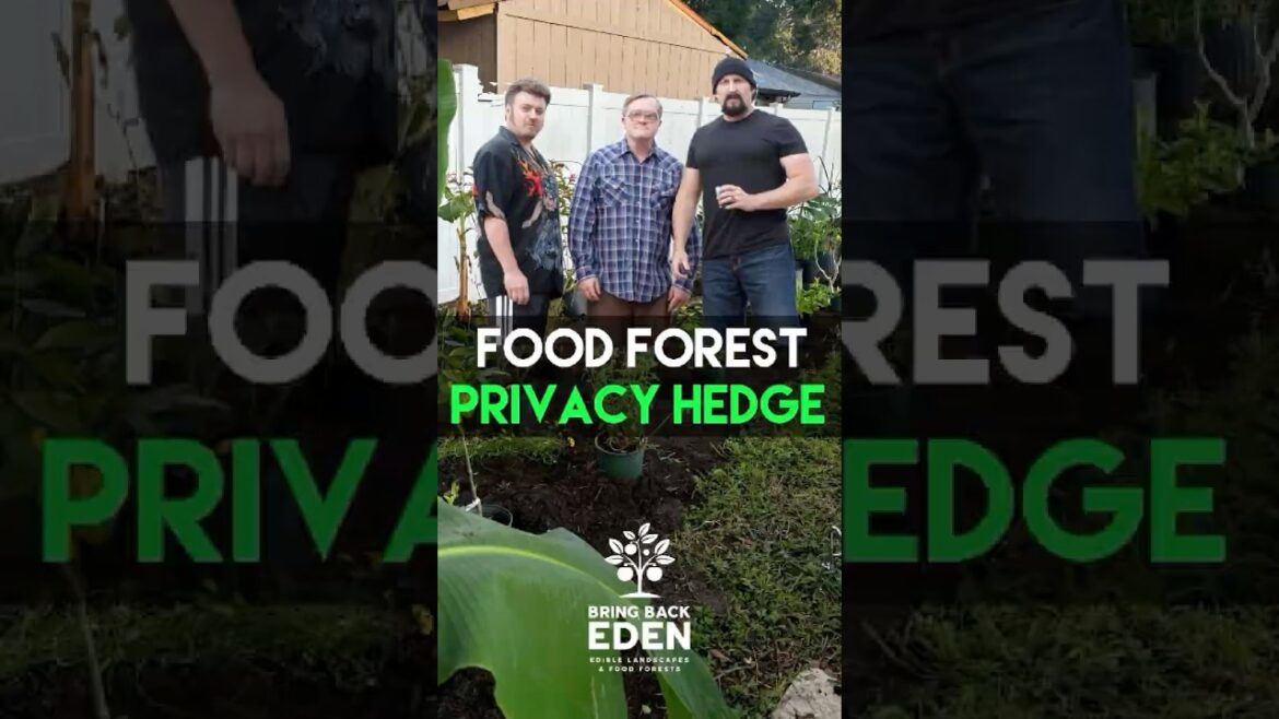 Grow a Food Forest in Florida π± Grow a Food Forest in Florida π±