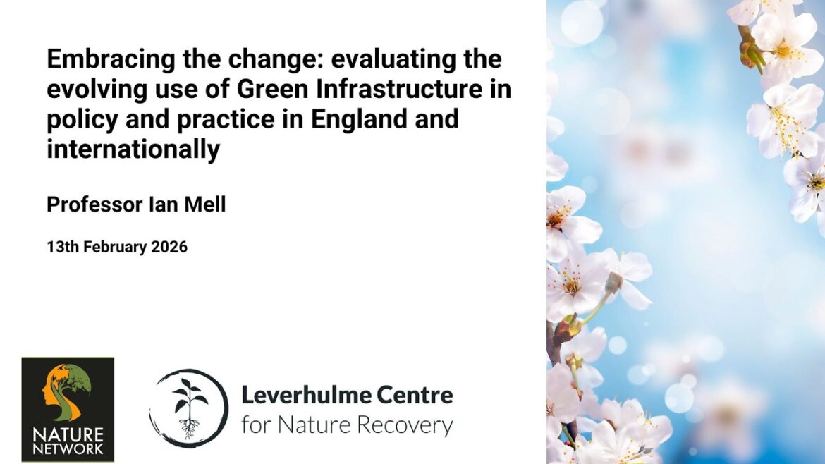 Embracing the change. Professor Ian Mell