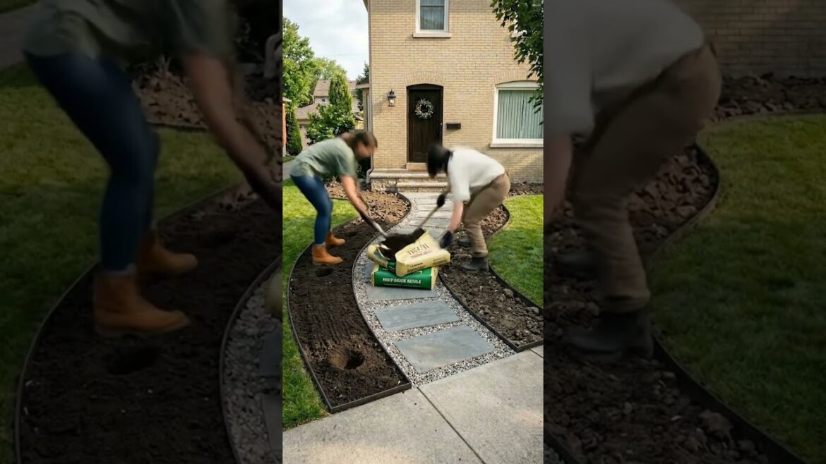 Boring Front Yard to Beautiful Garden Path
