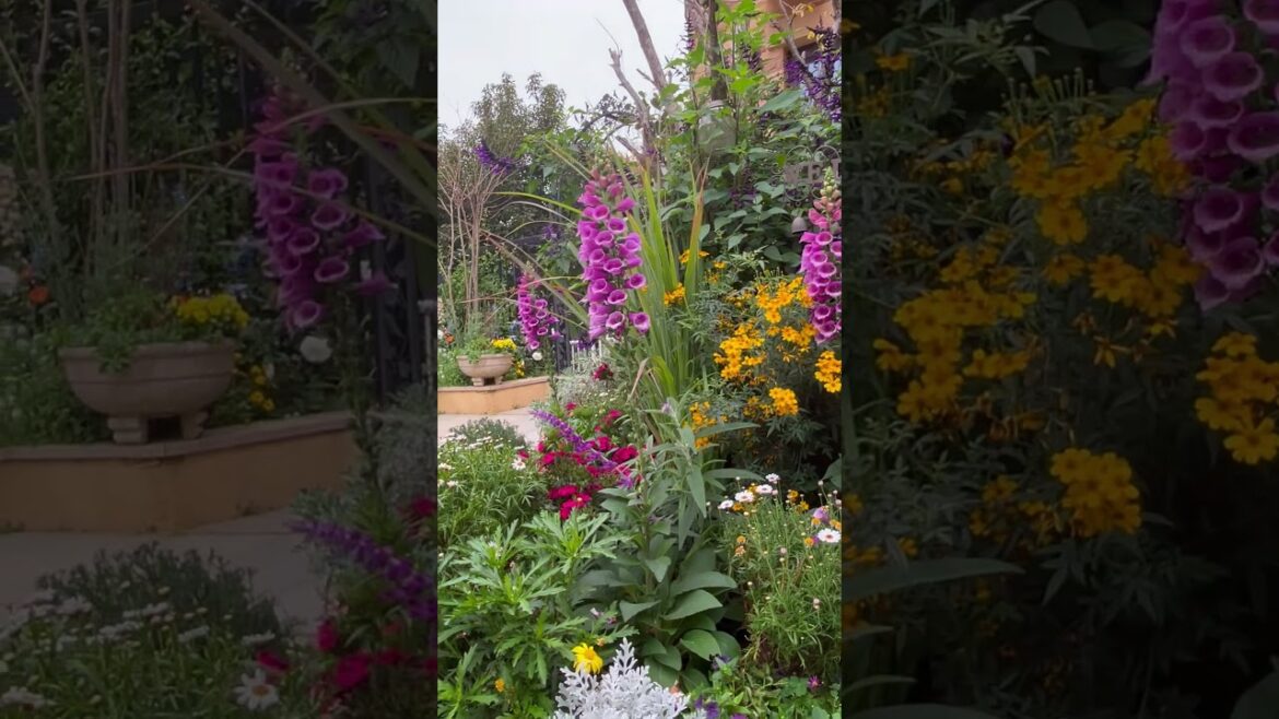 My Small Garden  #garden #gardendesign