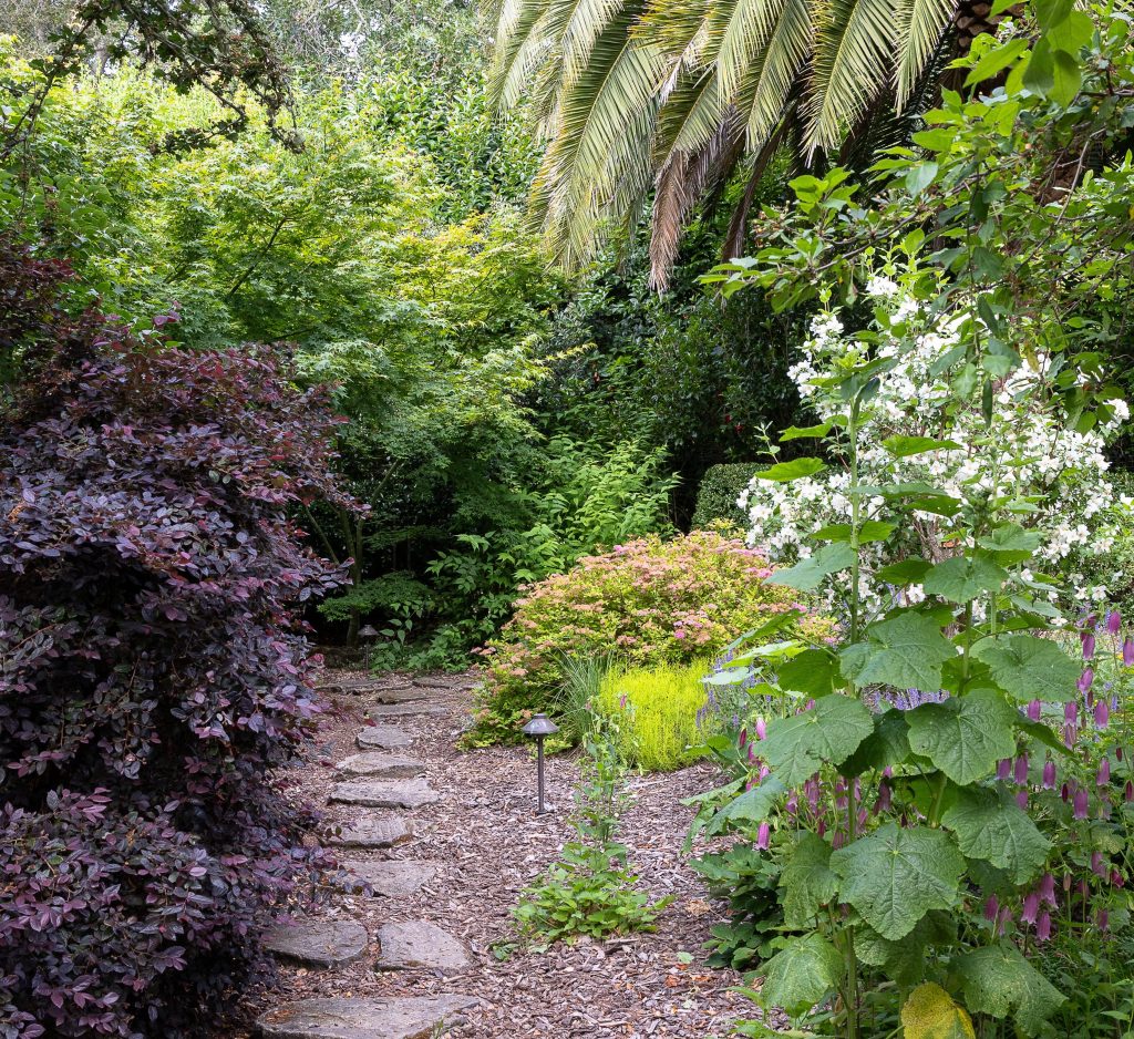 Explore 5 stunning gardens in Ross – Marin Independent Journal Explore 5 stunning gardens in Ross – Marin Independent Journal