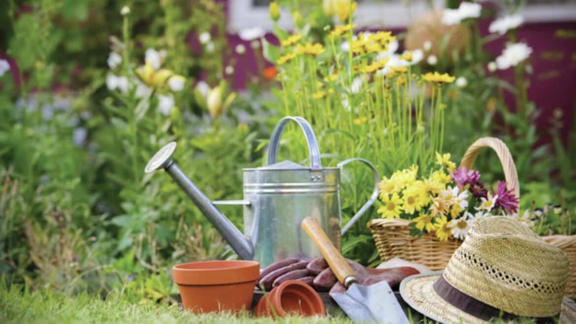 Everything you always wanted to know about herbs