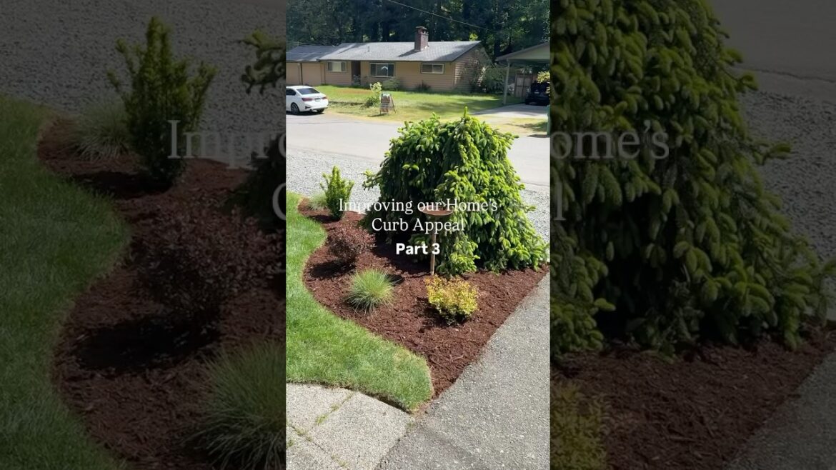 Curb Appeal - Part 3 | landscaping! #garden #landscapedesign #plants #pnw #landscaping #makeover