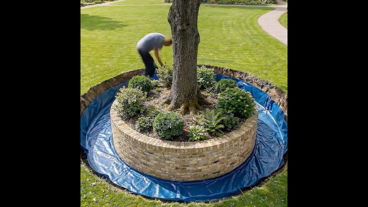 Lake built around a tree 🌳💧#garden #lake