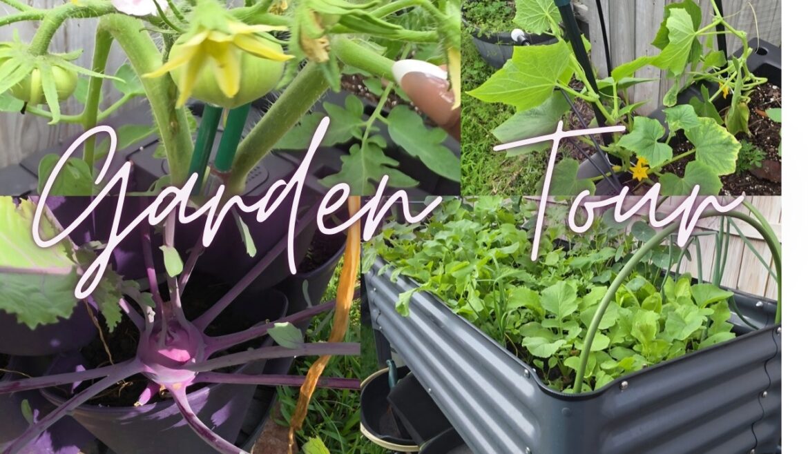 March Texas Container Garden Tour| Episode 001 March Texas Container Garden Tour| Episode 001