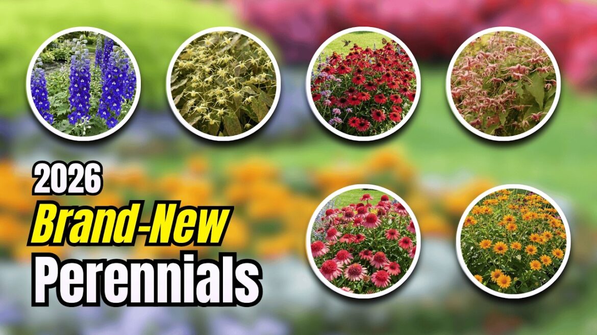7 Brand-New Perennial Cultivars for 2026 Gardeners Should Know 😱
