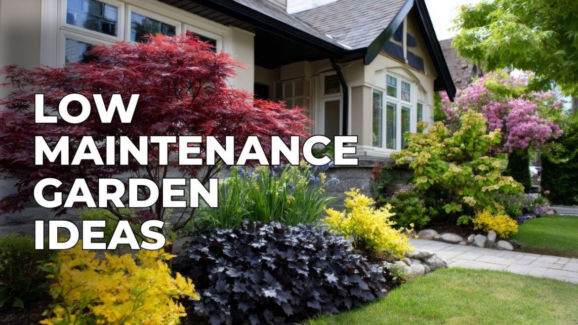 Little to "No" Grass Small Backyard: Low-Maintenance Front Yard Landscaping with Ornamental Tree