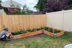 A raised garden bed in bloom.