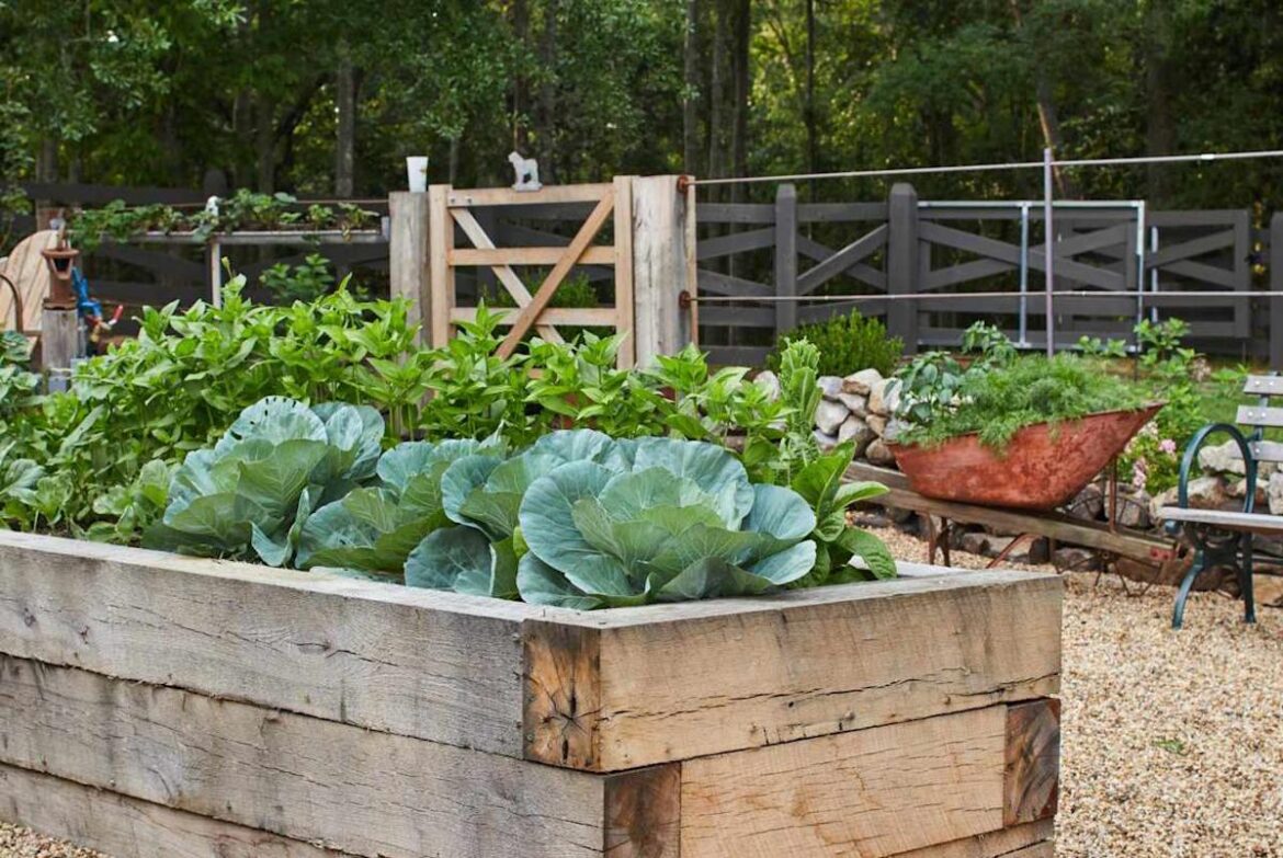 How To Keep Weeds Out Of Your Vegetable Garden All Season Long Southern Living