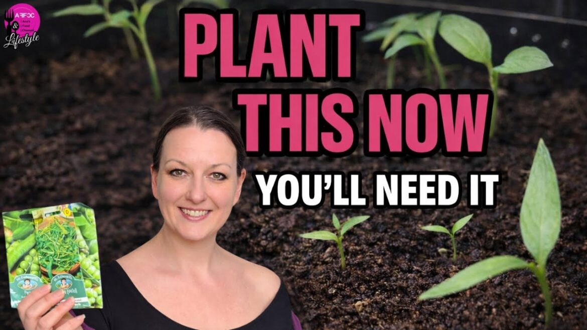 Plant This Now to Prepare for the Tough Year Ahead Plant This Now to Prepare for the Tough Year Ahead