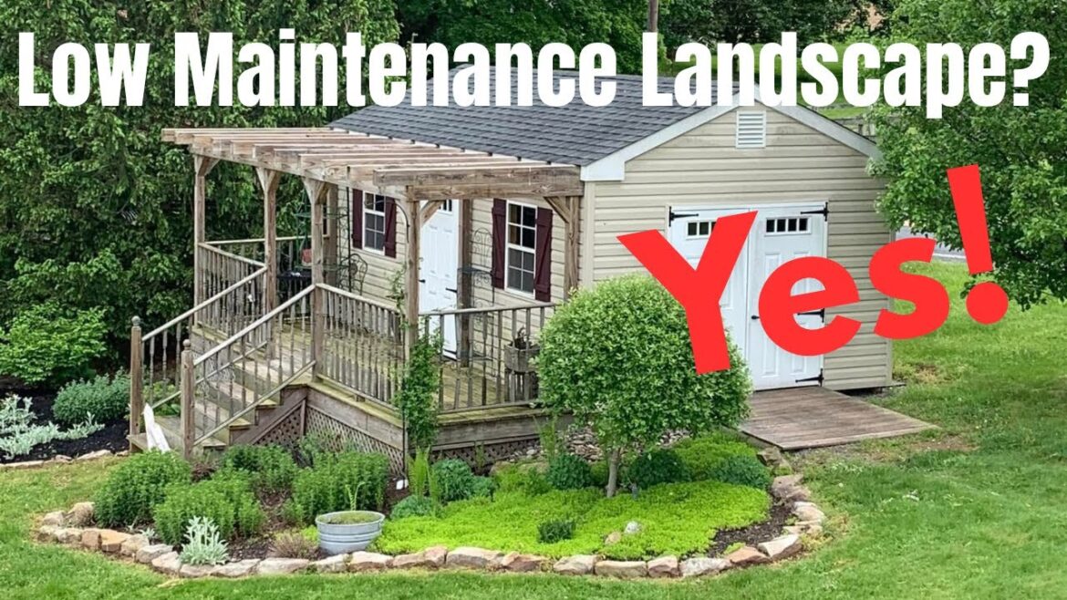 Spring Garden Cleanup for Lazy Gardeners | Low Maintenance Garden Tips #garden #flowers #plants