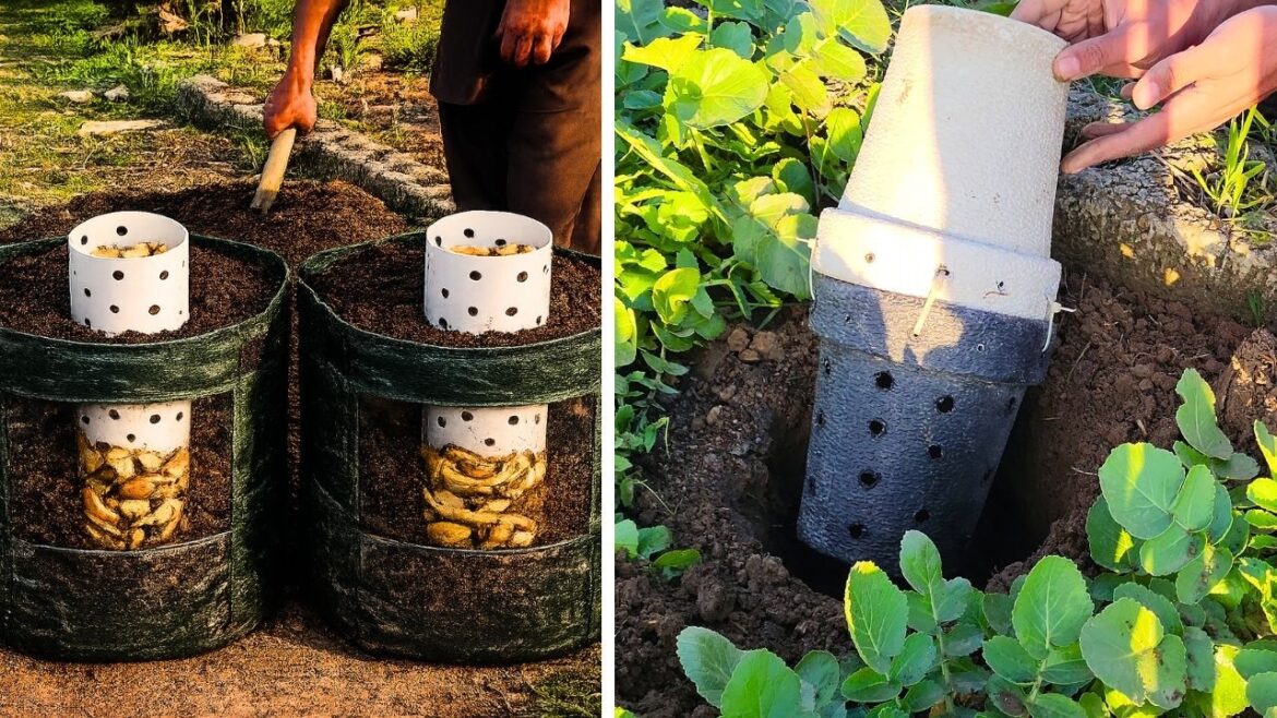 I Built a Self-Feeding Container Garden with Pipe Full of Kitchen Waste… The Plants Grew Like CRAZY