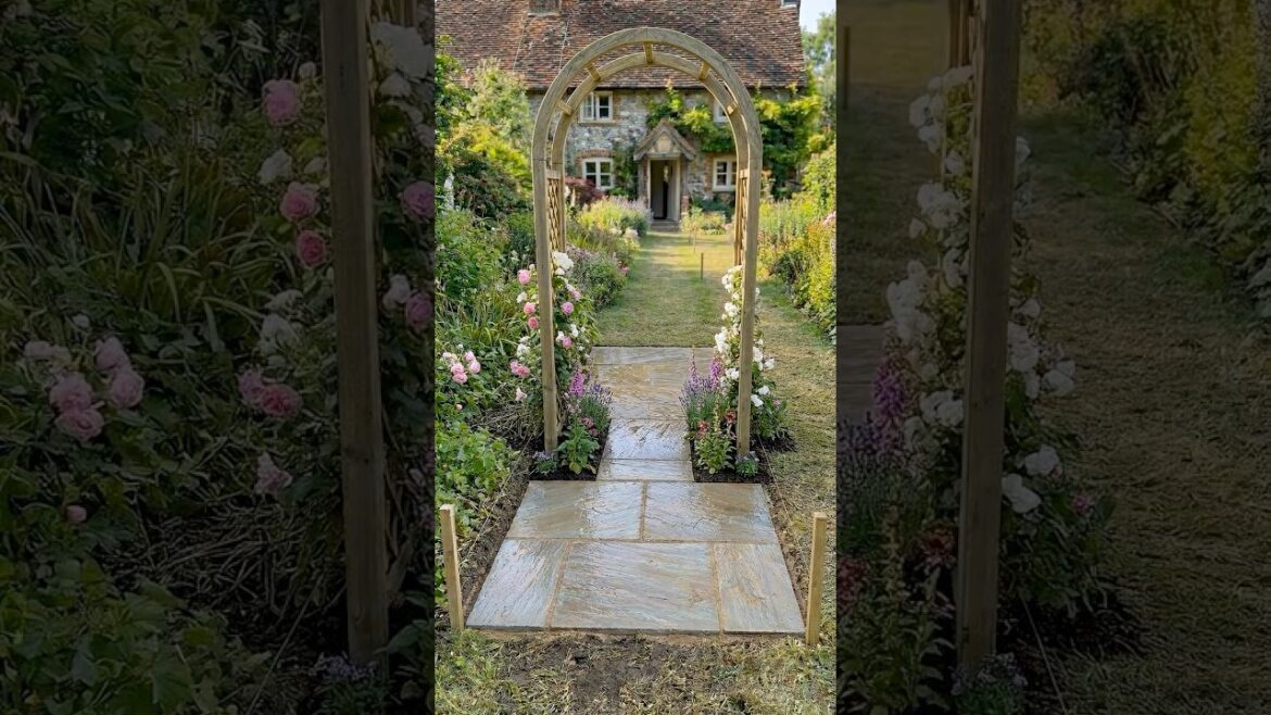 From Empty Lawn to Cottage Flower Arch Walk #garden #reels #satisfying