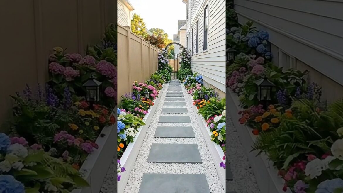 Turning a Narrow Yard Into a Charming Garden Path Turning a Narrow Yard Into a Charming Garden Path