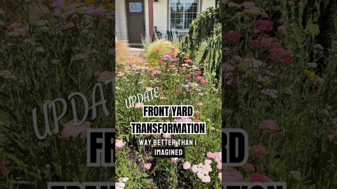 Front Yard Transformation — this turned out better than expected | Pre-Planned Garden Results