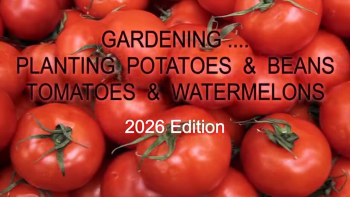 74-Year-Old Creates Garden Magic From Scratch