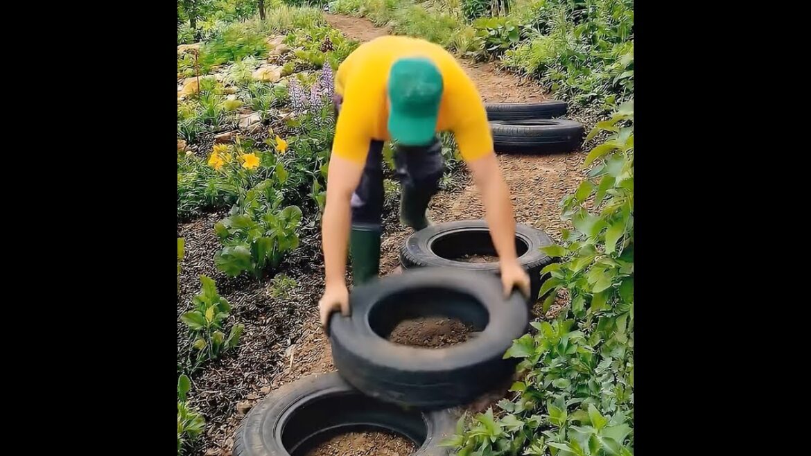 Transforming a muddy path into tire stairs 🛞🌧️ #garden #diy