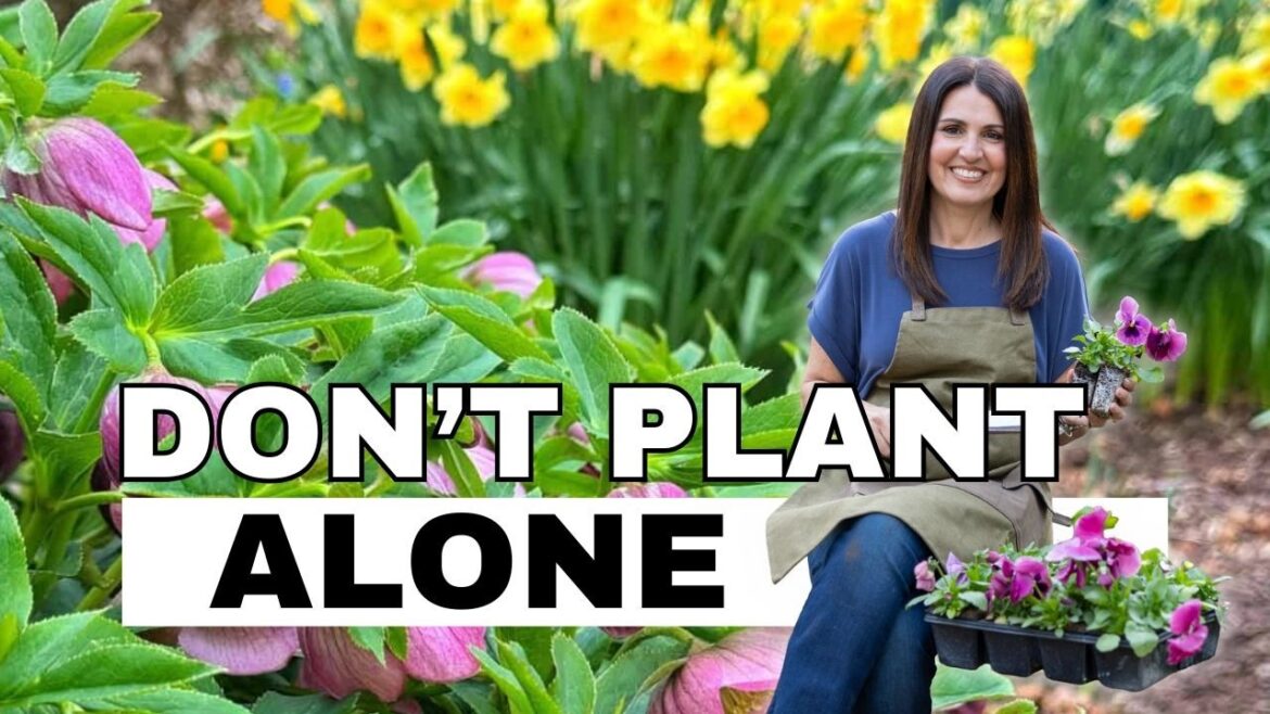 Don’t Plant Hellebores Alone: Shade Garden Design Tips for a Layered Border Don’t Plant Hellebores Alone: Shade Garden Design Tips for a Layered Border