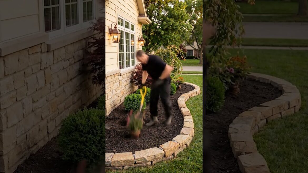 Simple Front Yard Upgrade That Makes Any Home Look Professionally Designed