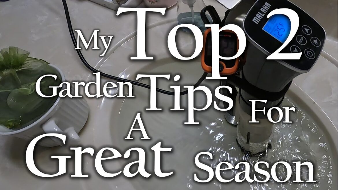 My TOP 2 Garden Tips. It is NOT what you think! My TOP 2 Garden Tips. It is NOT what you think!