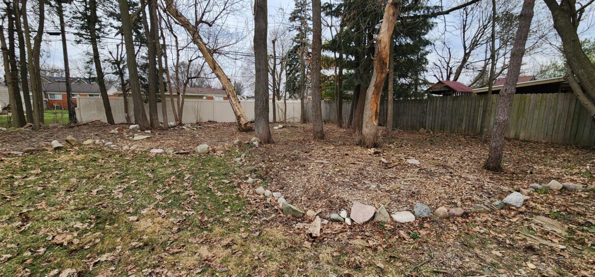 This is the far end of my backyard, I was suffering feom 1 meter tall weeds and english Ivy, I got wood mulch and it was ok for 2 years, this year I have weeds again - I am searching for a sustainable dirt cheap solution. I am planning to plant mint and thyme.