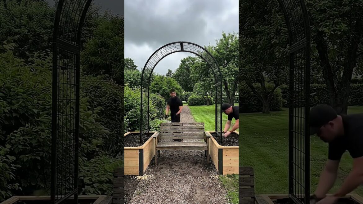 DIY Grape Arbor Bench: Transform Your Backyard in One Weekend! 🍇