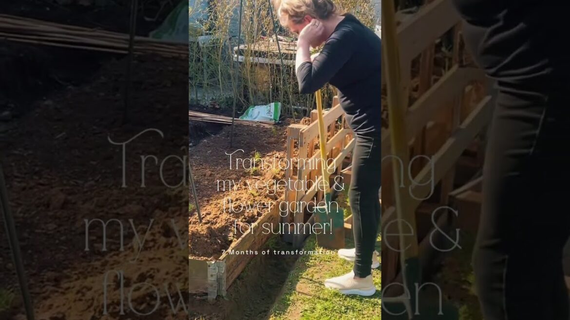 My Kitchen Vegetable and Flower garden journal. My Kitchen Vegetable and Flower garden journal.