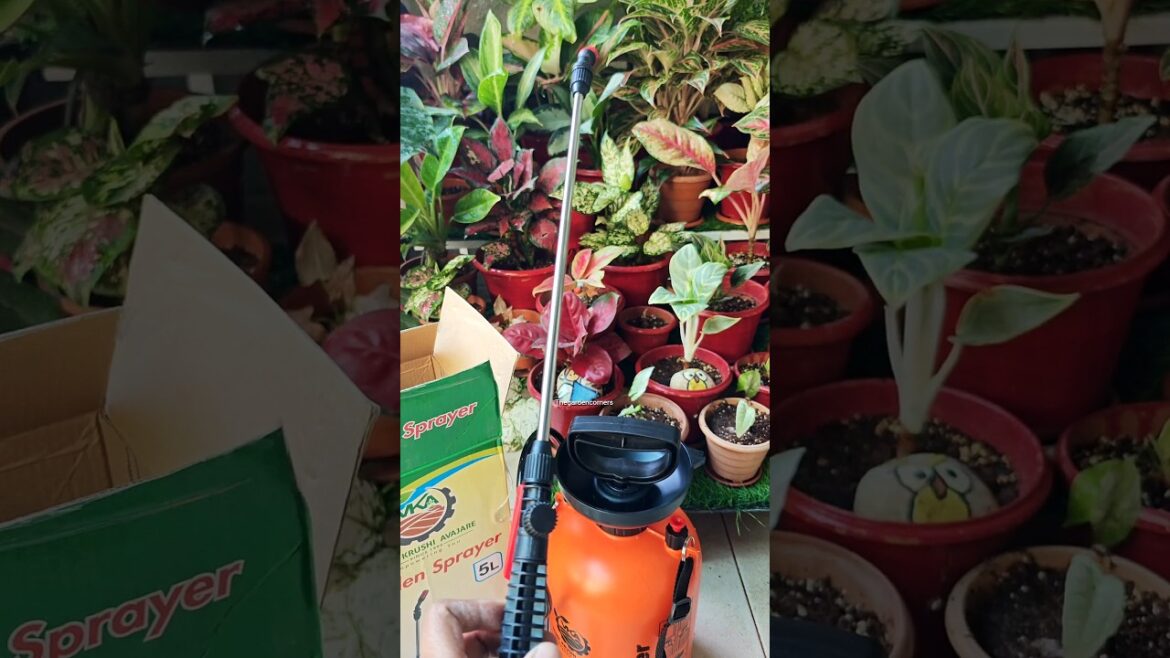 Best Garden Sprayer for Plants? Honest Review | Gardening Tools India