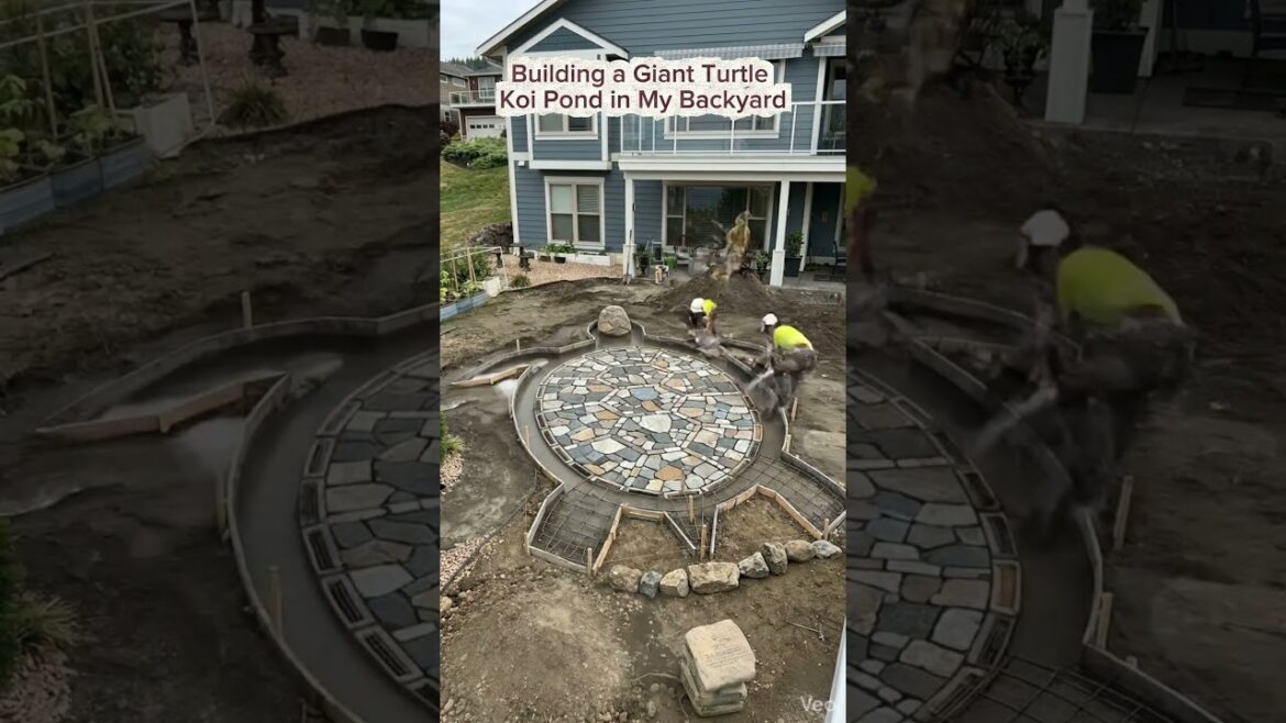 Building a Giant Turtle Koi Pond in My Backyard #giantkoipond #turtlekoipond #backyardkoipondbuild Building a Giant Turtle Koi Pond in My Backyard #giantkoipond #turtlekoipond #backyardkoipondbuild