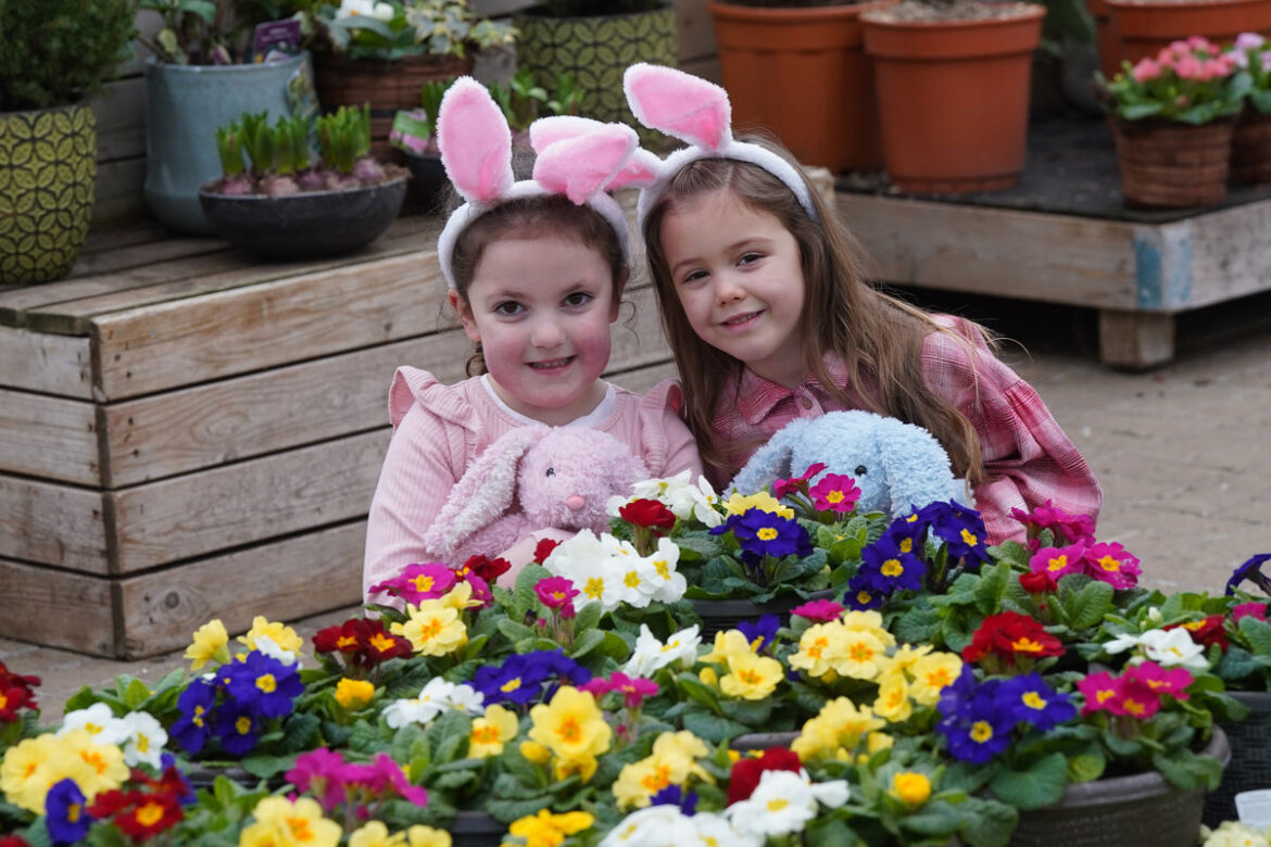 Free spring gardening and creativity day for families Dobbies is working with Gabby’s Dollhouse for an Easter-themed Little Seedlings Club workshop this April