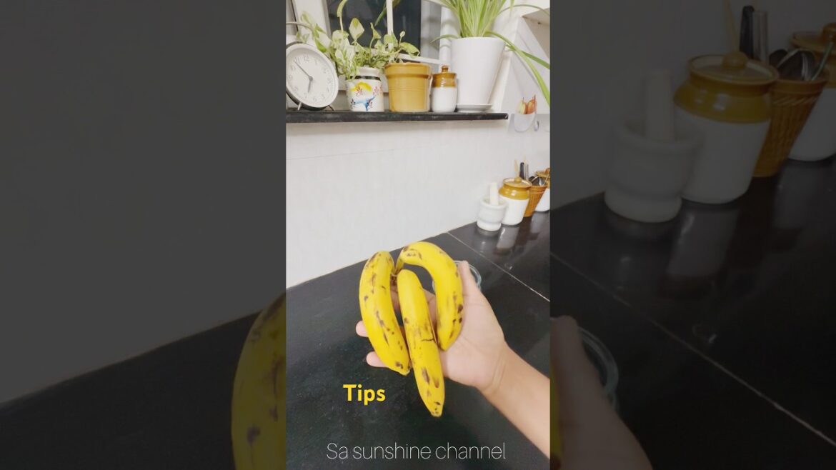 🔥Useful Gardening Tips#shorts#kitchen#plants#tipsandtrick# #youtubeshorts