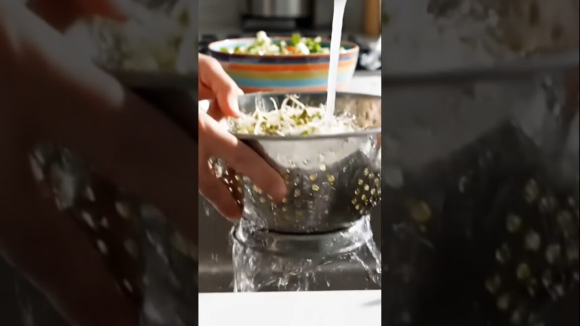 seed growing time lapse Growing MUNG BEANS from Seed – 7 Days Timelapse 4K | Fastest Sprouts Ever! seed growing time lapse Growing MUNG BEANS from Seed - 7 Days Timelapse 4K | Fastest Sprouts Ever!