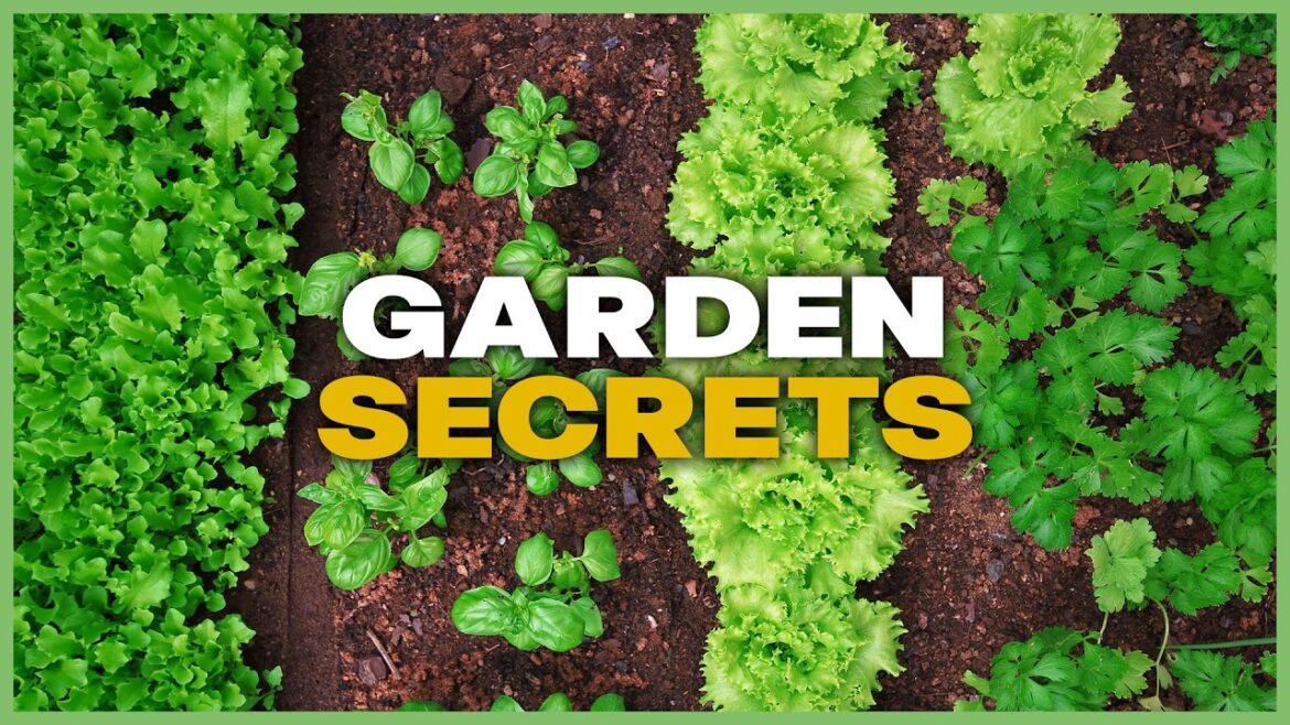 The BEST Plants For Your Garden & Secrets For a Thriving Lawn