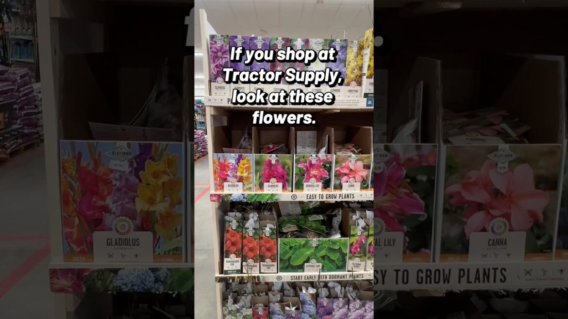 Best Flowers and Bulbs at Tractor Supply