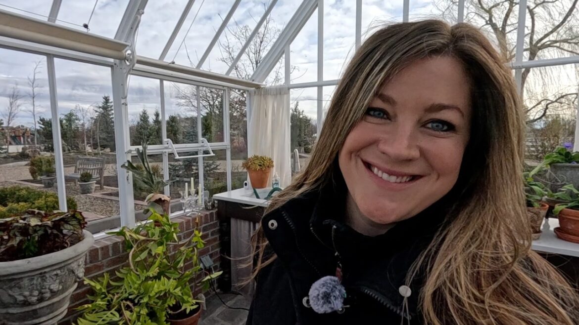 Garden Answer: Planting Birch Trees in My Parent’s Garden, Transplanting Boxwood & Potting Succulent Cuttings! 🌳🌿🪴 Planting Birch Trees in My Parent’s Garden, Transplanting Boxwood & Potting Succulent Cuttings! 🌳🌿🪴