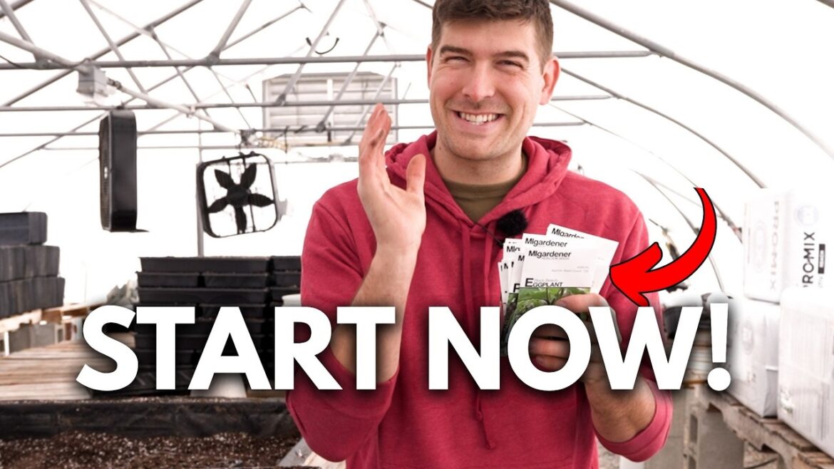 Start These Seeds NOW In March