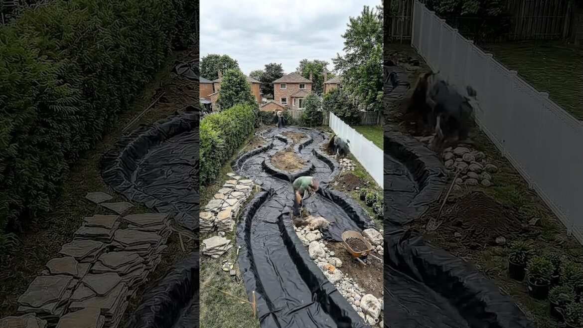 I Built a Dream Garden Stream in My Backyard I Built a Dream Garden Stream in My Backyard