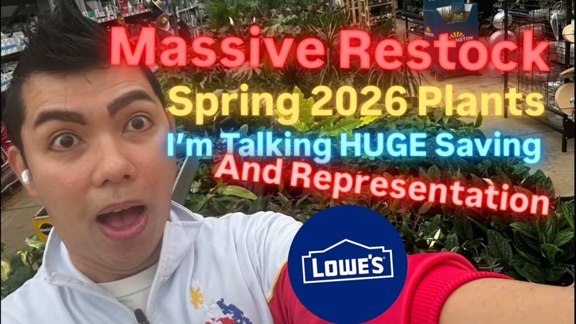 Huge Restock and Massive Price Cuts Big Box Store Plant Shopping at Lowe’s Spring 2026 Plant Finds Huge Restock and Massive Price Cuts Big Box Store Plant Shopping at Lowe's Spring 2026 Plant Finds