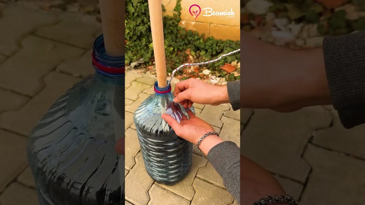 DIY Plant Support Using Dowels & Gallon 🌱 #diy #plant #gallon #gardentips