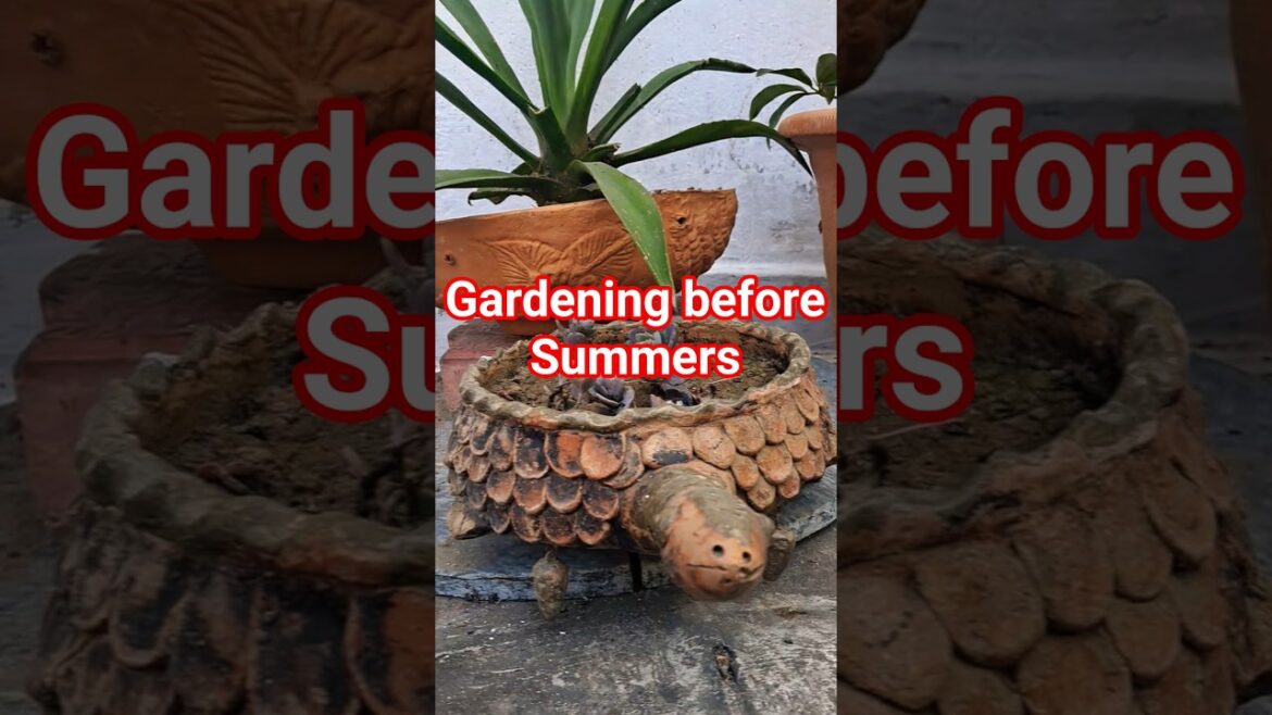 Gardening Tips Before Summers 🪴🤔 #garden #terracegardenindia #gardening #trending