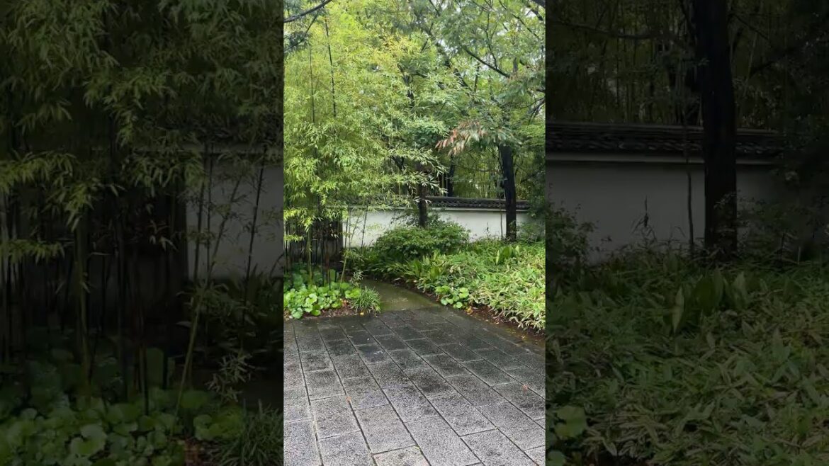 Koko-en Garden – #shorts #travel #japan #himeji #japanesegarden #nature #trees #bamboo #garden Koko-en Garden - #shorts #travel #japan #himeji #japanesegarden #nature #trees #bamboo #garden