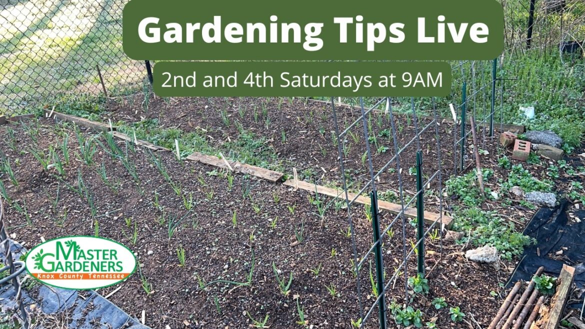 Gardening Tips Live! March 14, 2026