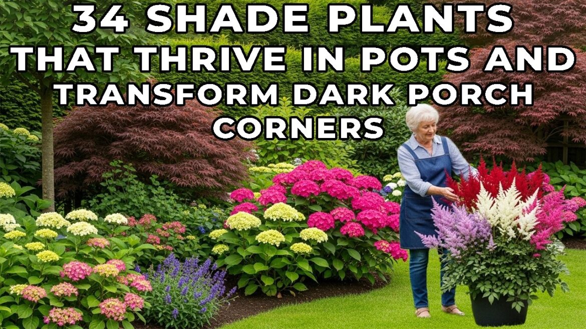 34 Best Shade Plants for Pots That Turn Dark Porches Into Lush Container Gardens