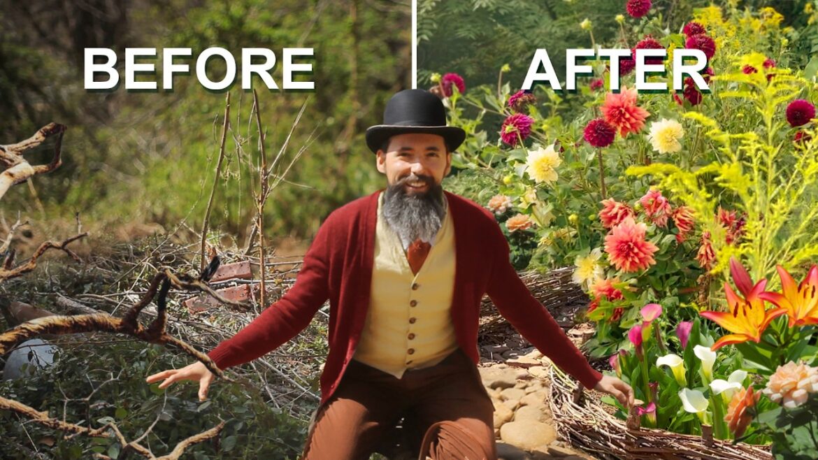 I turned my abandoned yard into an EPIC CUTTING GARDEN