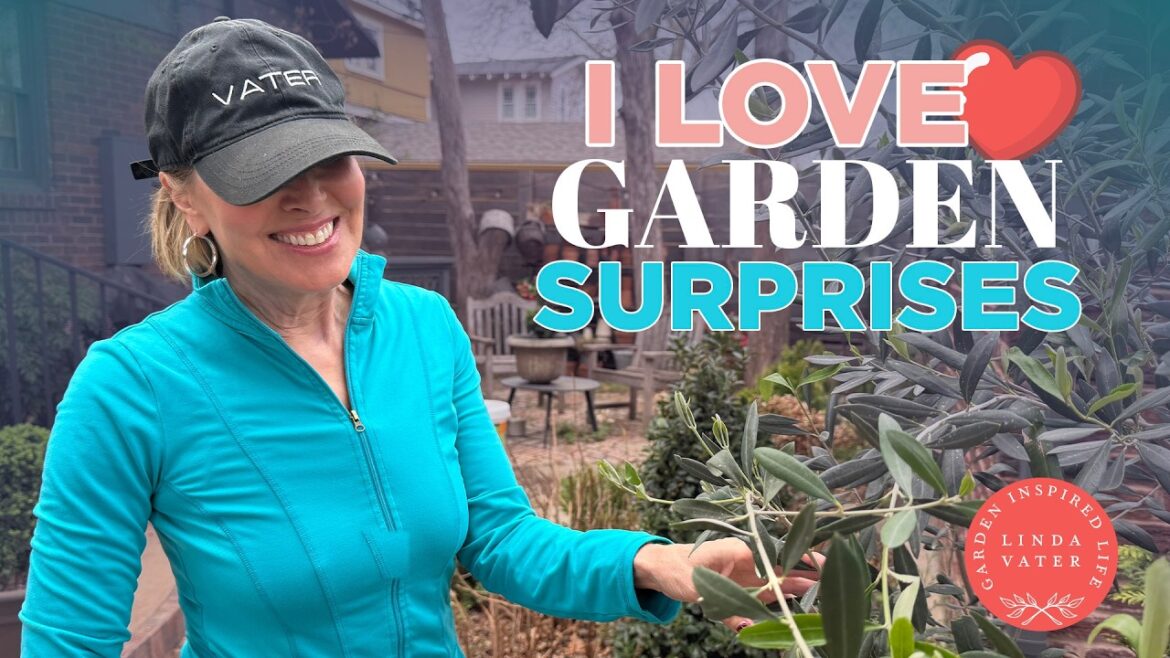Don't You Love Garden Surprises | Linda Vater 🌿