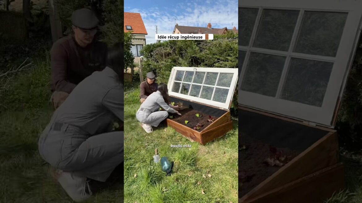 Mini serre pour potager ♻️ Mini serre pour potager ♻️
